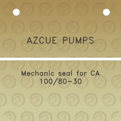 azcue-pumps-mechanic-seal-for-ca-10080-30