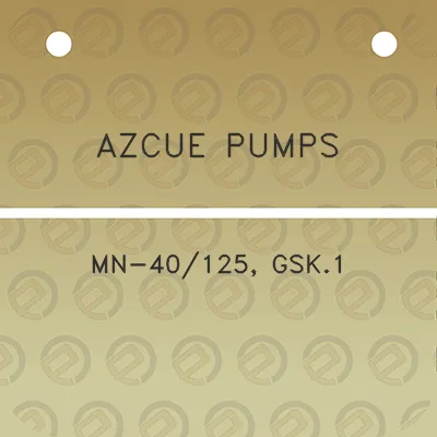 azcue-pumps-mn-40125-gsk1