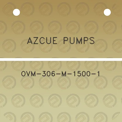 azcue-pumps-ovm-306-m-1500-1