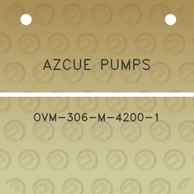 azcue-pumps-ovm-306-m-4200-1