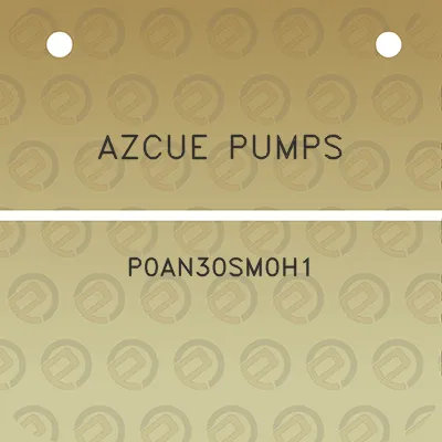 azcue-pumps-p0an30sm0h1