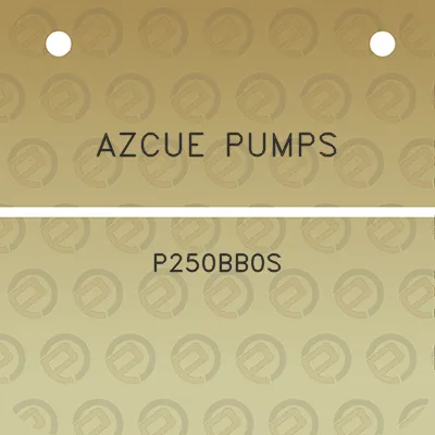 azcue-pumps-p250bb0s