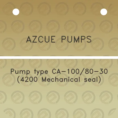 azcue-pumps-pump-type-ca-10080-30-4200-mechanical-seal