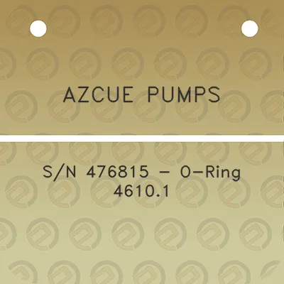 azcue-pumps-sn-476815-o-ring-46101