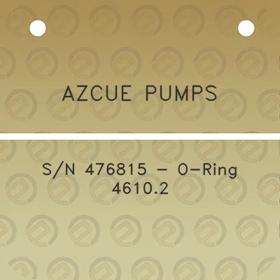 azcue-pumps-sn-476815-o-ring-46102