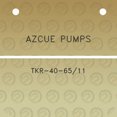 azcue-pumps-tkr-40-6511