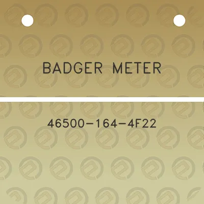 badger-meter-46500-164-4f22