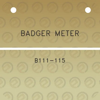 badger-meter-b111-115