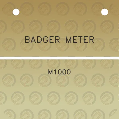 badger-meter-m1000