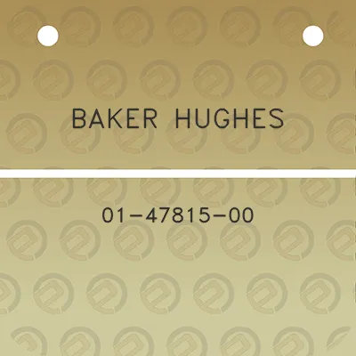 baker-hughes-01-47815-00