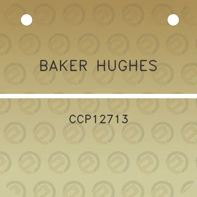 baker-hughes-ccp12713