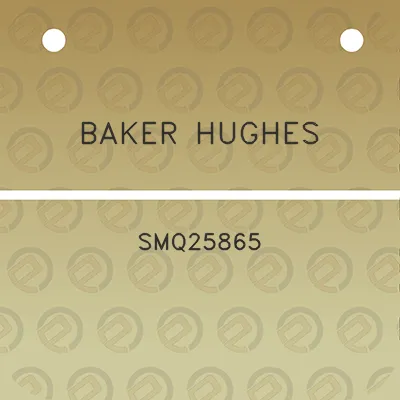 baker-hughes-smq25865