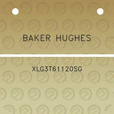 baker-hughes-xlg3t61120sg