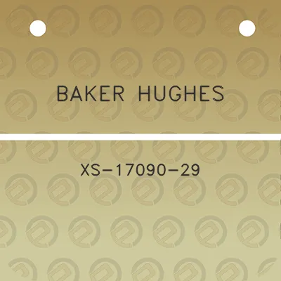 baker-hughes-xs-17090-29