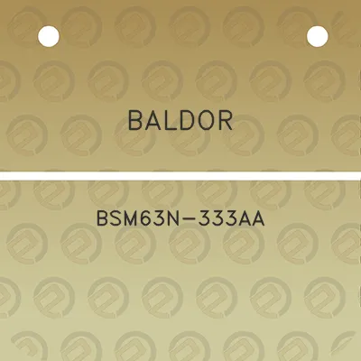 baldor-bsm63n-333aa