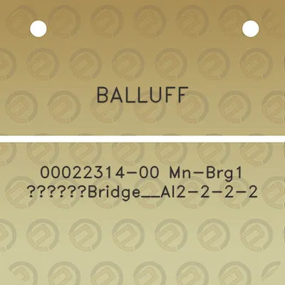 balluff-00022314-00-mn-brg1-eabridge__ai2-2-2-2