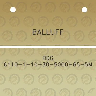 balluff-bdg-6110-1-10-30-5000-65-5m