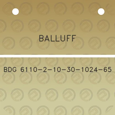 balluff-bdg-6110-2-10-30-1024-65