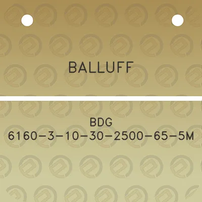 balluff-bdg-6160-3-10-30-2500-65-5m