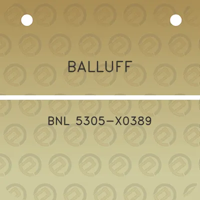 balluff-bnl-5305-x0389