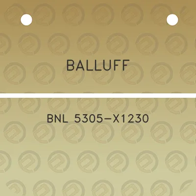 balluff-bnl-5305-x1230