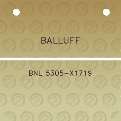 balluff-bnl-5305-x1719