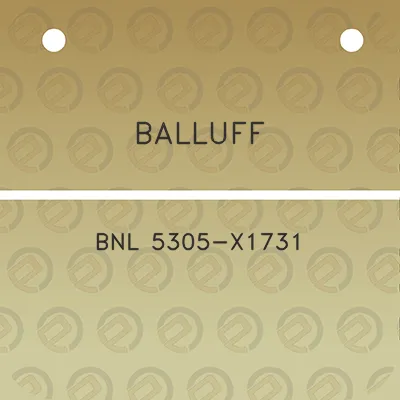 balluff-bnl-5305-x1731