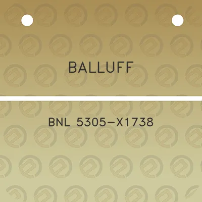 balluff-bnl-5305-x1738