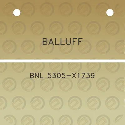 balluff-bnl-5305-x1739