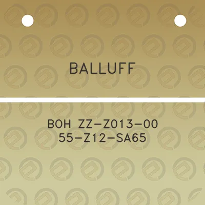 balluff-boh-zz-z013-00-55-z12-sa65