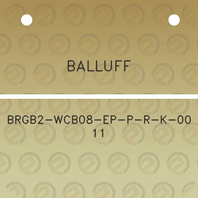 balluff-brgb2-wcb08-ep-p-r-k-00-11