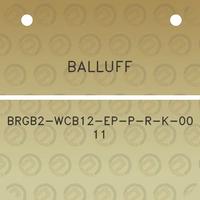 balluff-brgb2-wcb12-ep-p-r-k-00-11