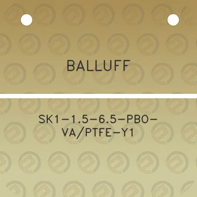 balluff-sk1-15-65-pbo-vaptfe-y1