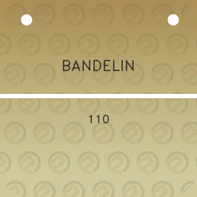 bandelin-110