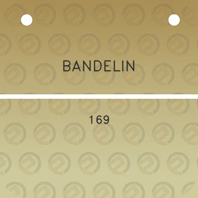 bandelin-169