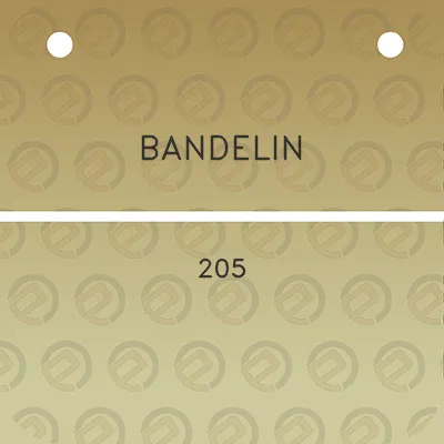 bandelin-205