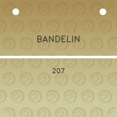 bandelin-207