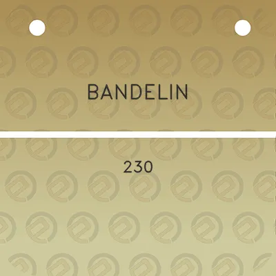 bandelin-230