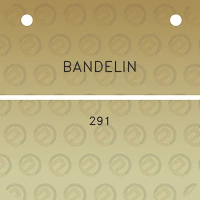 bandelin-291