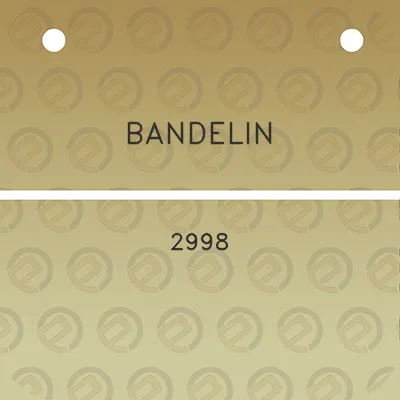 bandelin-2998