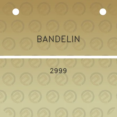 bandelin-2999