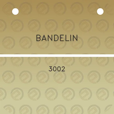 bandelin-3002