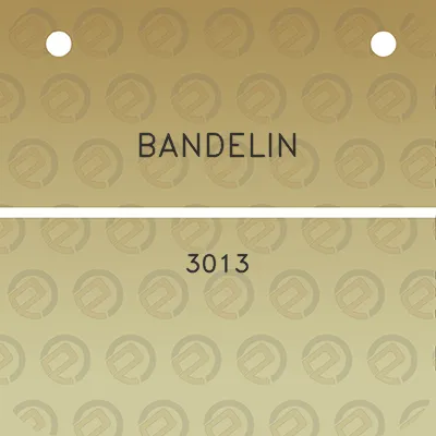 bandelin-3013