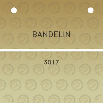 bandelin-3017