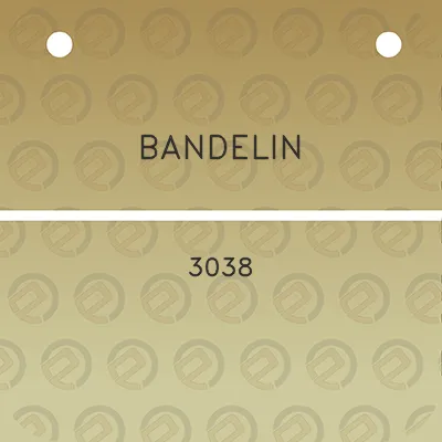 bandelin-3038