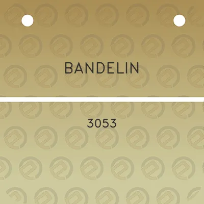 bandelin-3053