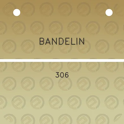 bandelin-306