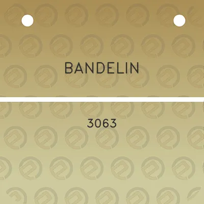 bandelin-3063