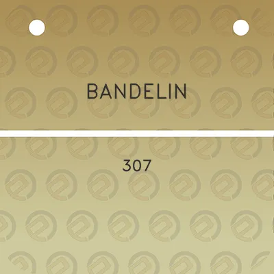 bandelin-307