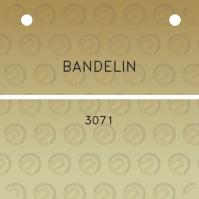 bandelin-3071